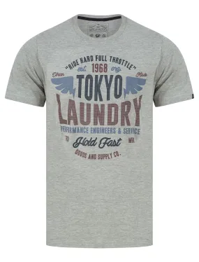 Ferndale Motif Cotton Jersey T-Shirt in Light Grey Marl - Tokyo Laundry