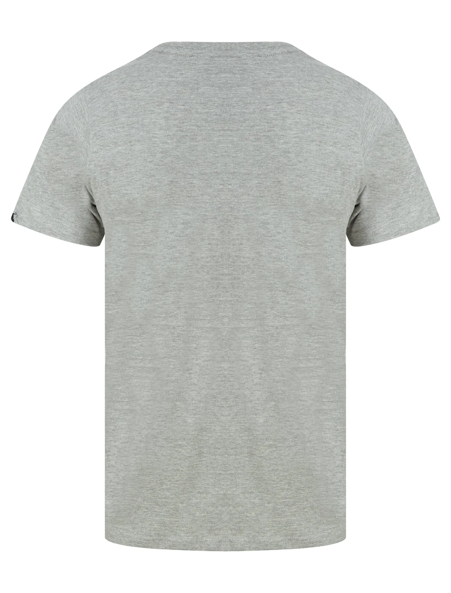 Ferndale Motif Cotton Jersey T-Shirt in Light Grey Marl - Tokyo Laundry