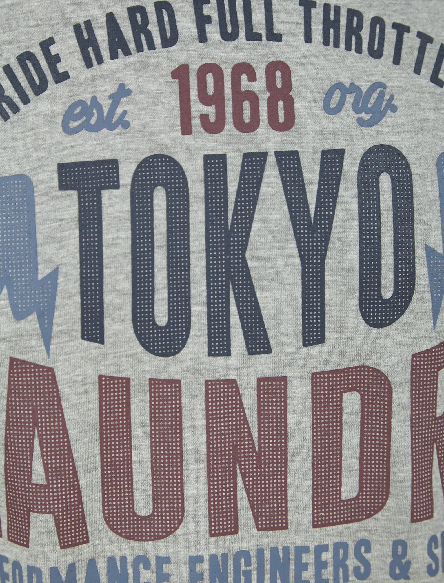 Ferndale Motif Cotton Jersey T-Shirt in Light Grey Marl - Tokyo Laundry