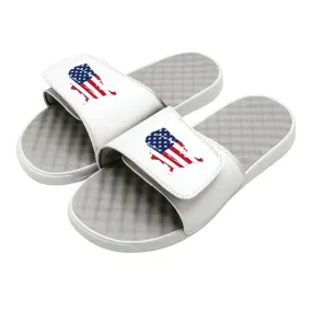 Land Of The Free Slides