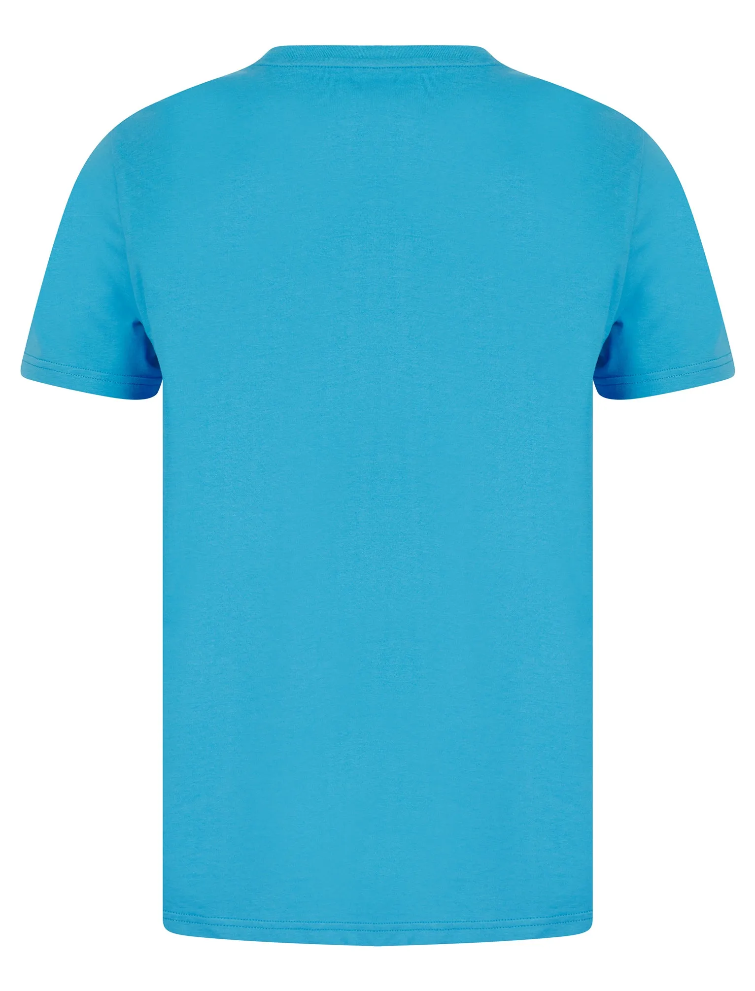 Palm Beach 2 Motif Cotton Jersey T-Shirt in Malibu Blue - South Shore